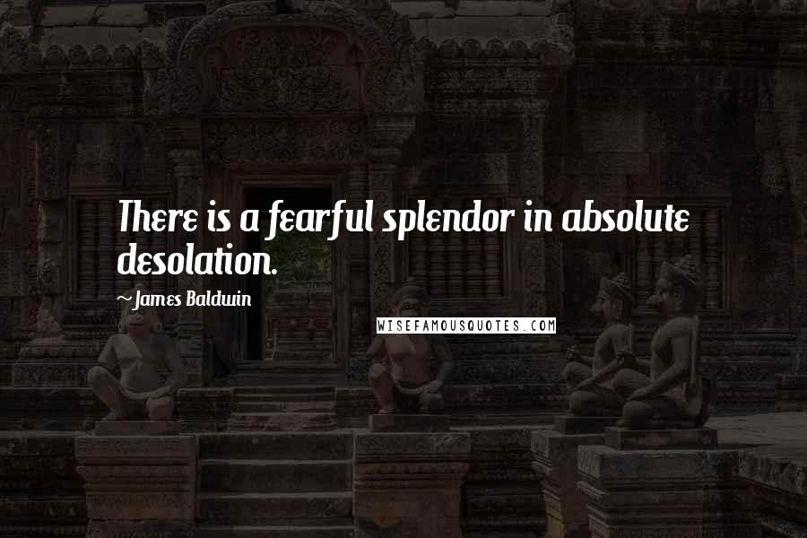 James Baldwin Quotes: There is a fearful splendor in absolute desolation.