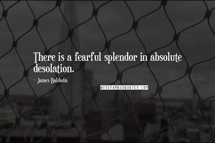 James Baldwin Quotes: There is a fearful splendor in absolute desolation.