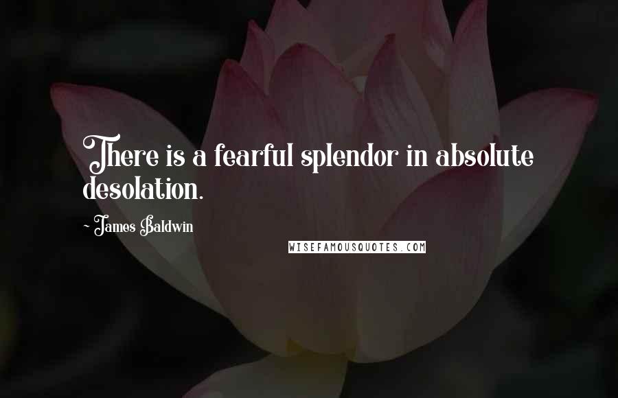 James Baldwin Quotes: There is a fearful splendor in absolute desolation.