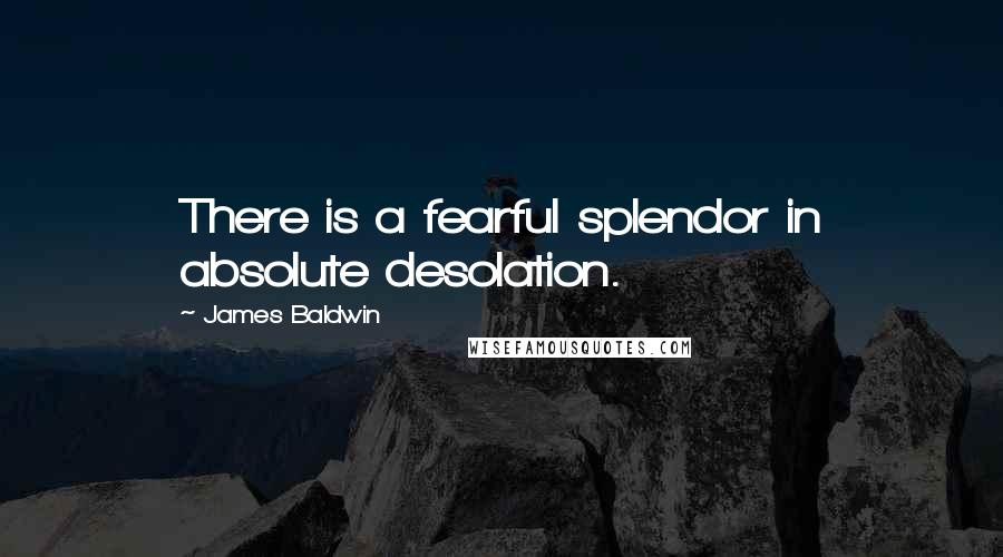 James Baldwin Quotes: There is a fearful splendor in absolute desolation.