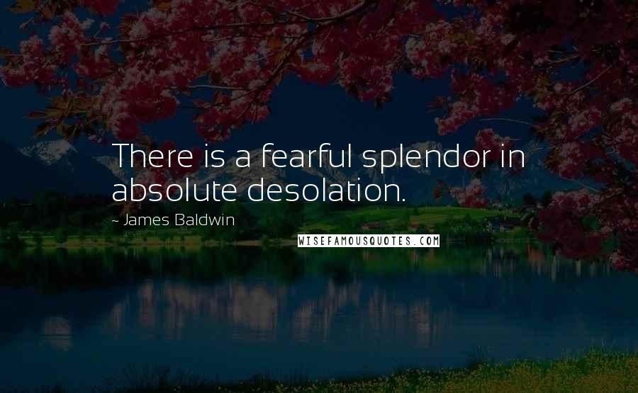 James Baldwin Quotes: There is a fearful splendor in absolute desolation.