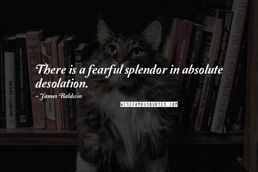 James Baldwin Quotes: There is a fearful splendor in absolute desolation.