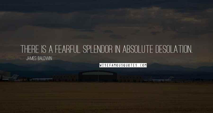 James Baldwin Quotes: There is a fearful splendor in absolute desolation.