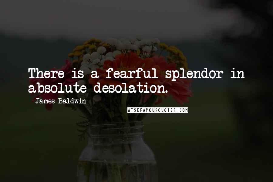 James Baldwin Quotes: There is a fearful splendor in absolute desolation.