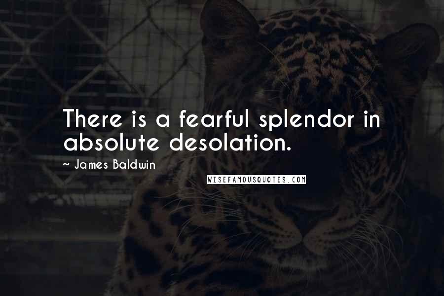 James Baldwin Quotes: There is a fearful splendor in absolute desolation.