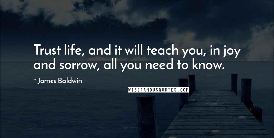 James Baldwin Quotes: Trust life, and it will teach you, in joy and sorrow, all you need to know.
