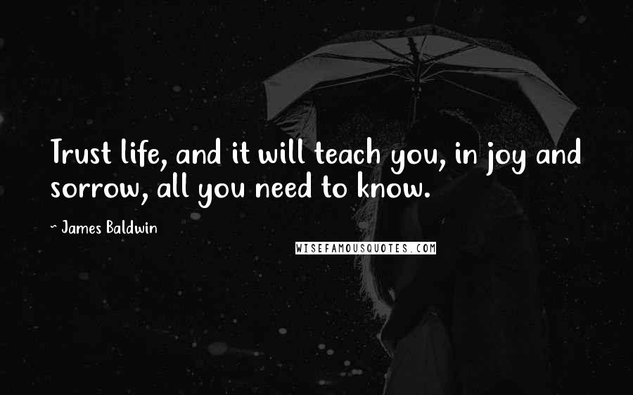 James Baldwin Quotes: Trust life, and it will teach you, in joy and sorrow, all you need to know.