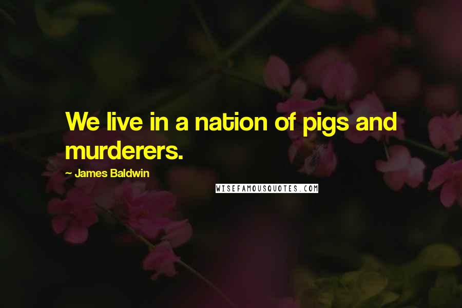 James Baldwin Quotes: We live in a nation of pigs and murderers.