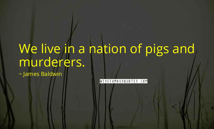 James Baldwin Quotes: We live in a nation of pigs and murderers.