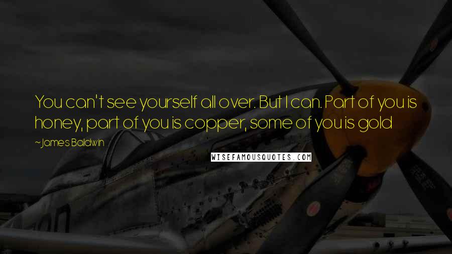 James Baldwin Quotes: You can't see yourself all over. But I can. Part of you is honey, part of you is copper, some of you is gold
