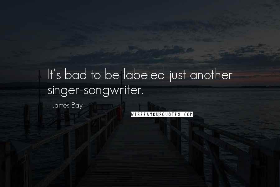 James Bay Quotes: It's bad to be labeled just another singer-songwriter.
