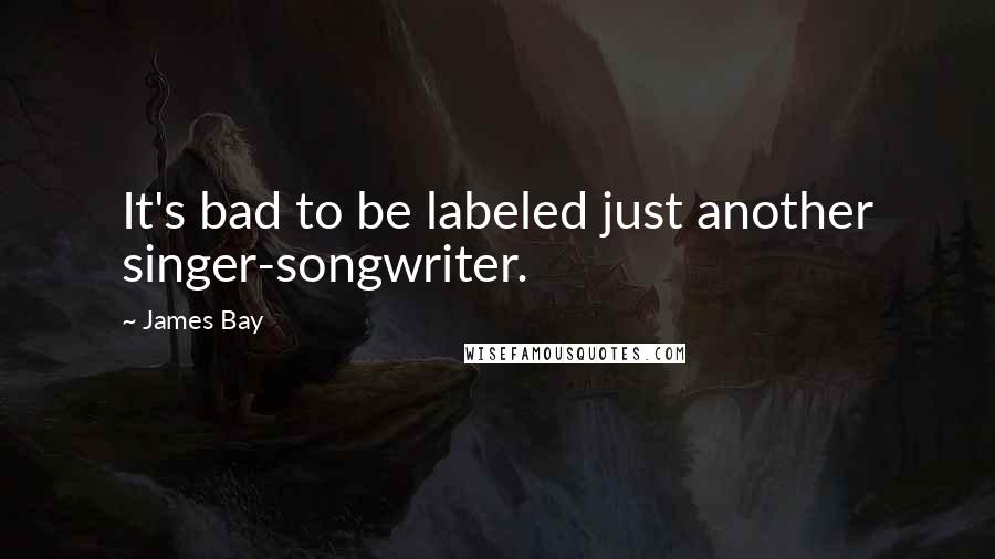 James Bay Quotes: It's bad to be labeled just another singer-songwriter.