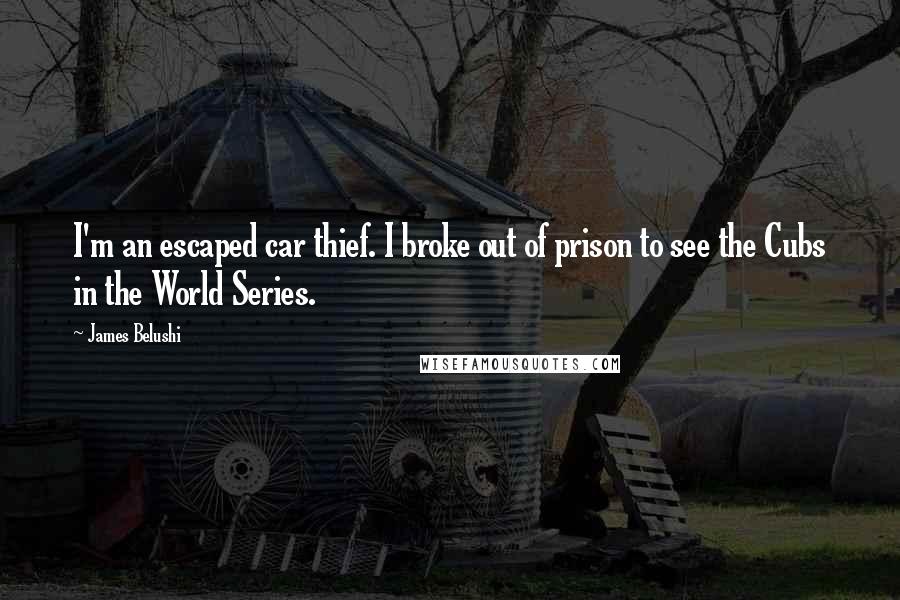 James Belushi Quotes: I'm an escaped car thief. I broke out of prison to see the Cubs in the World Series.