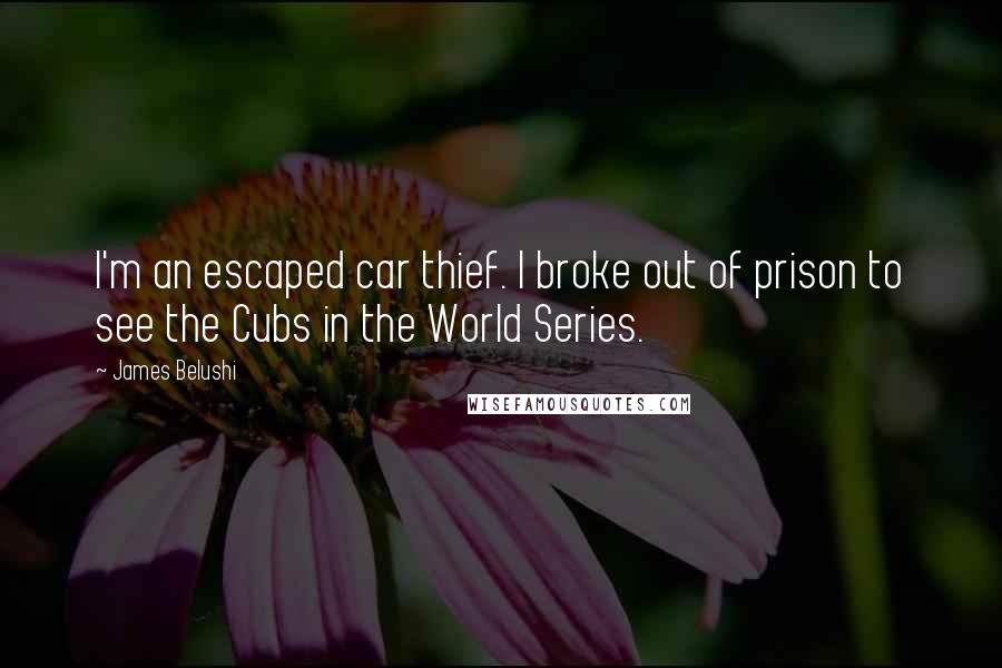 James Belushi Quotes: I'm an escaped car thief. I broke out of prison to see the Cubs in the World Series.