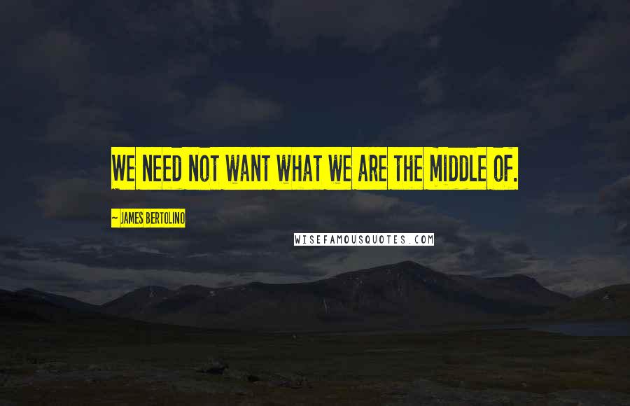 James Bertolino Quotes: We need not want what we are the middle of.