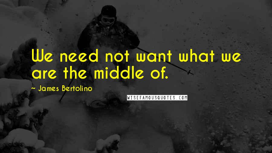 James Bertolino Quotes: We need not want what we are the middle of.
