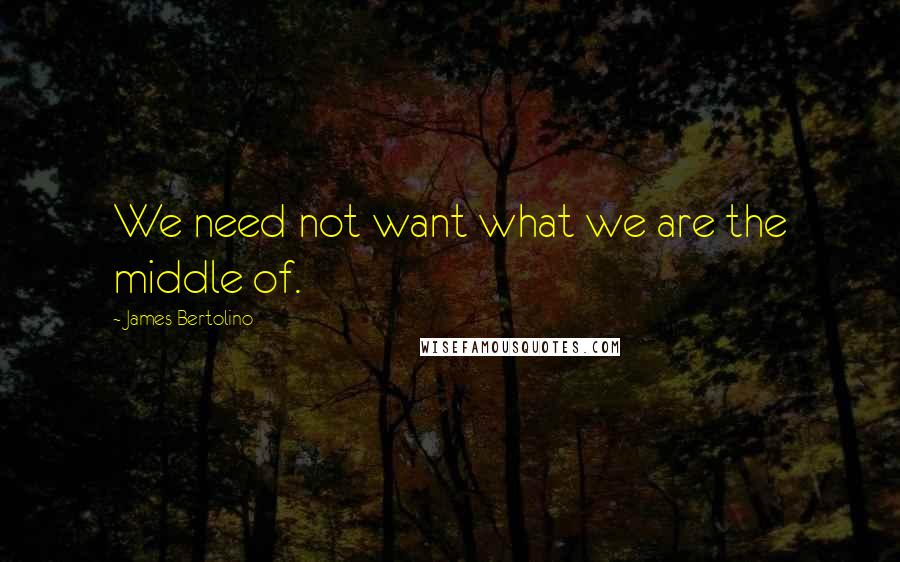 James Bertolino Quotes: We need not want what we are the middle of.