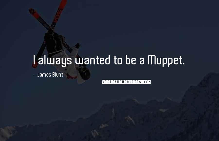 James Blunt Quotes: I always wanted to be a Muppet.