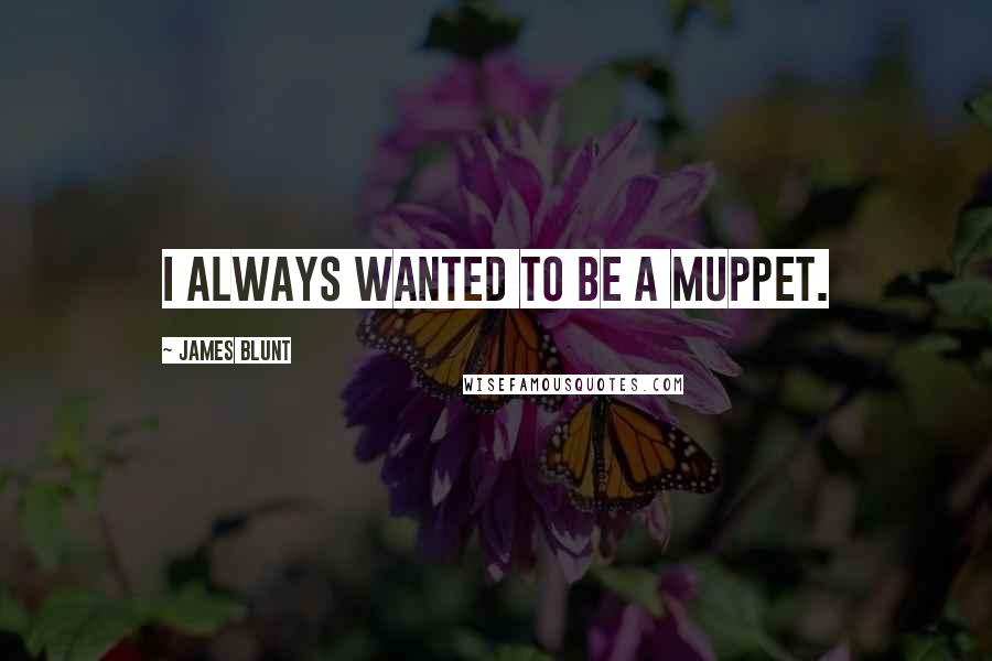James Blunt Quotes: I always wanted to be a Muppet.