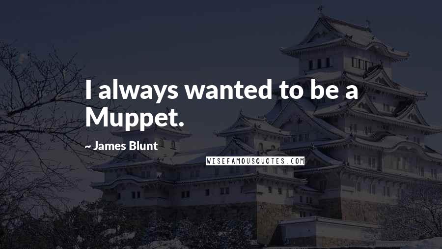 James Blunt Quotes: I always wanted to be a Muppet.