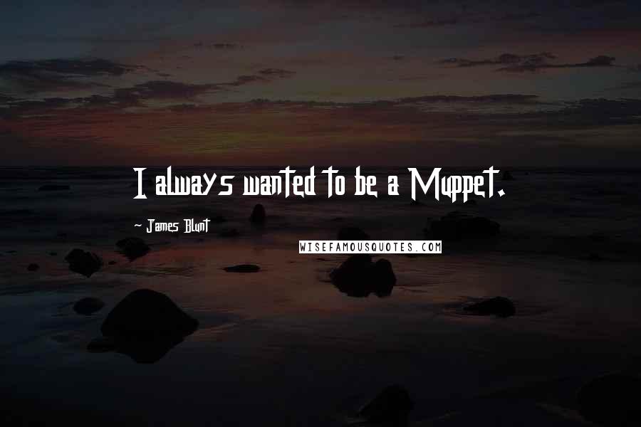 James Blunt Quotes: I always wanted to be a Muppet.