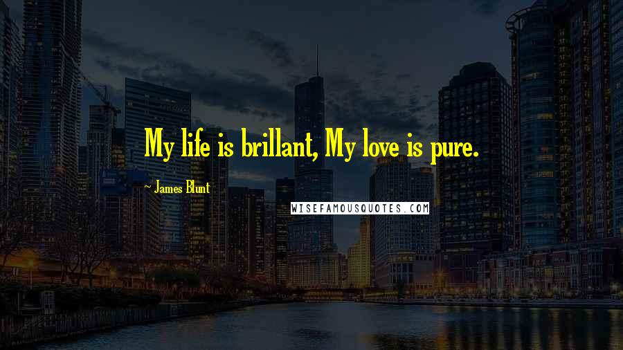 James Blunt Quotes: My life is brillant, My love is pure.