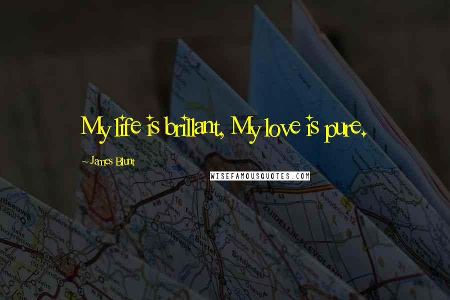 James Blunt Quotes: My life is brillant, My love is pure.