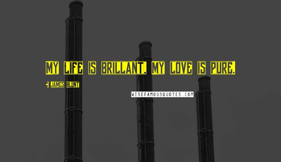 James Blunt Quotes: My life is brillant, My love is pure.