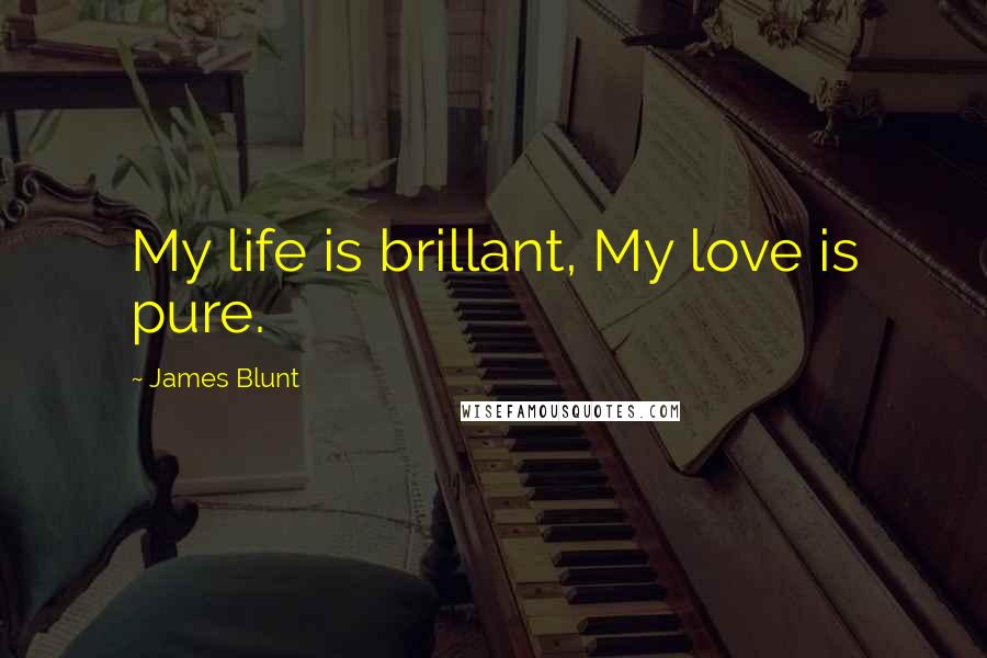 James Blunt Quotes: My life is brillant, My love is pure.