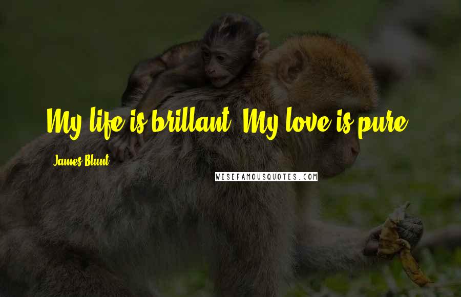 James Blunt Quotes: My life is brillant, My love is pure.