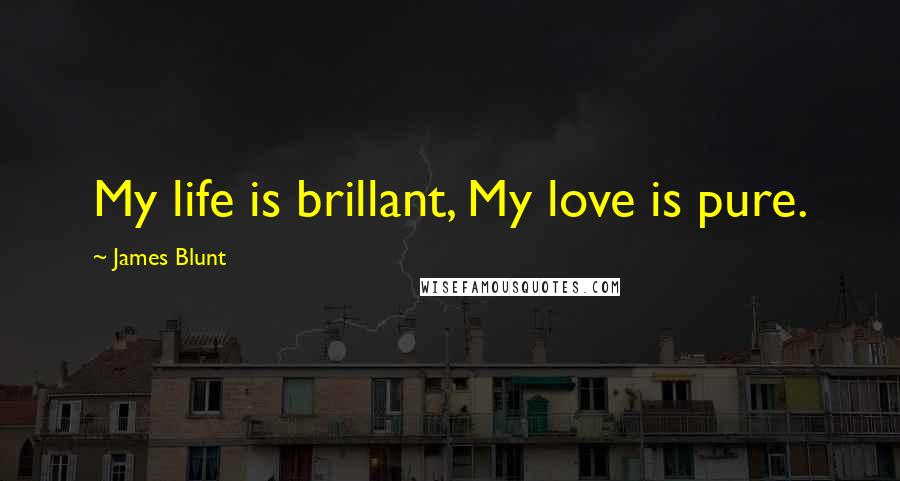 James Blunt Quotes: My life is brillant, My love is pure.