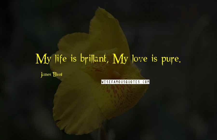 James Blunt Quotes: My life is brillant, My love is pure.