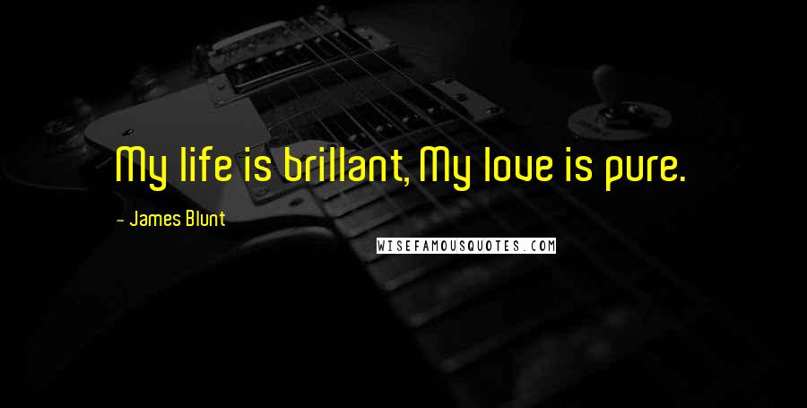 James Blunt Quotes: My life is brillant, My love is pure.