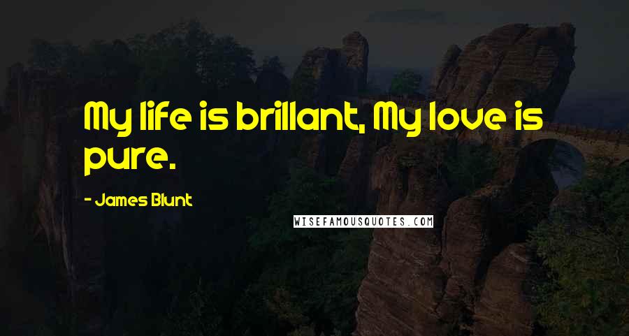 James Blunt Quotes: My life is brillant, My love is pure.