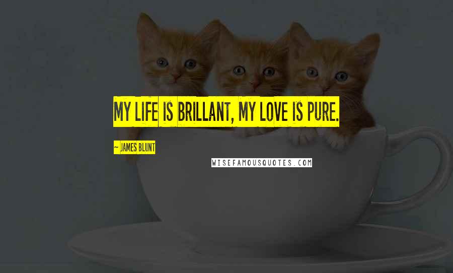 James Blunt Quotes: My life is brillant, My love is pure.