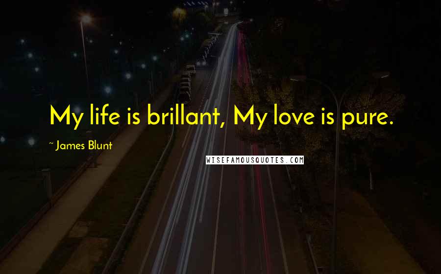 James Blunt Quotes: My life is brillant, My love is pure.