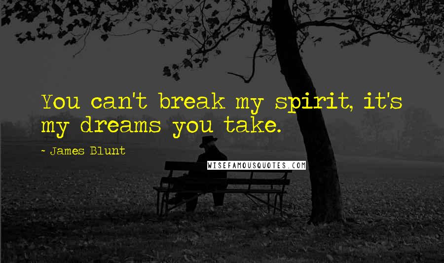 James Blunt Quotes: You can't break my spirit, it's my dreams you take.