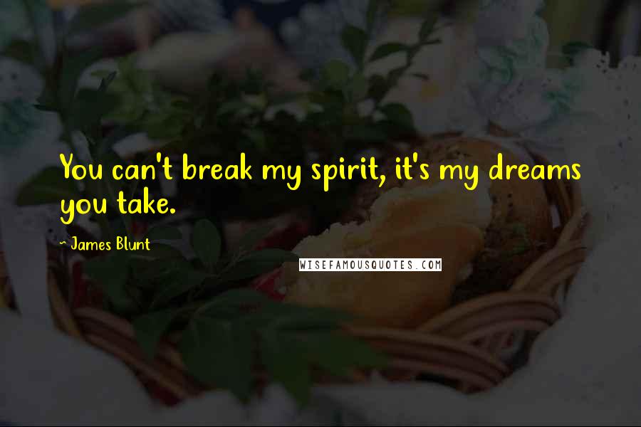 James Blunt Quotes: You can't break my spirit, it's my dreams you take.