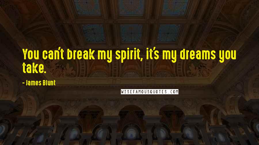 James Blunt Quotes: You can't break my spirit, it's my dreams you take.