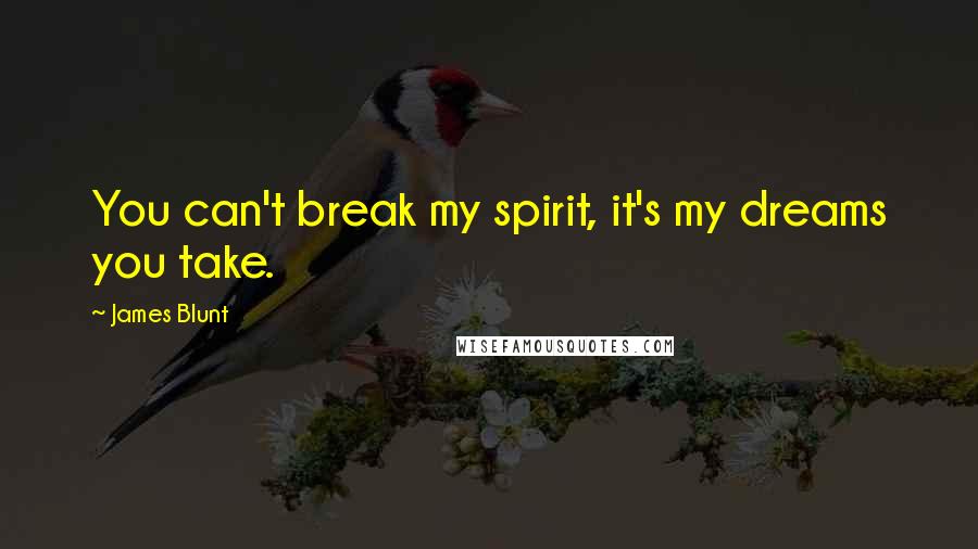 James Blunt Quotes: You can't break my spirit, it's my dreams you take.