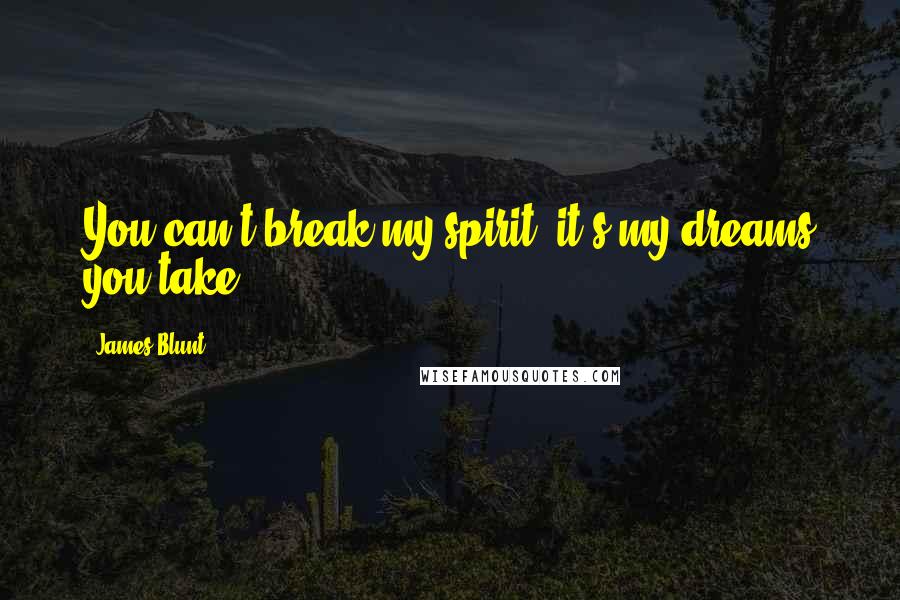 James Blunt Quotes: You can't break my spirit, it's my dreams you take.