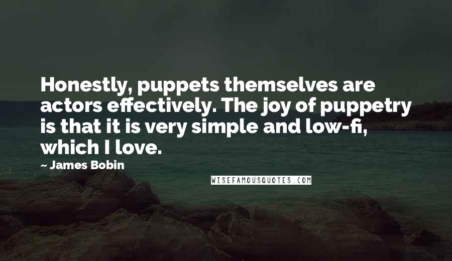 James Bobin Quotes: Honestly, puppets themselves are actors effectively. The joy of puppetry is that it is very simple and low-fi, which I love.