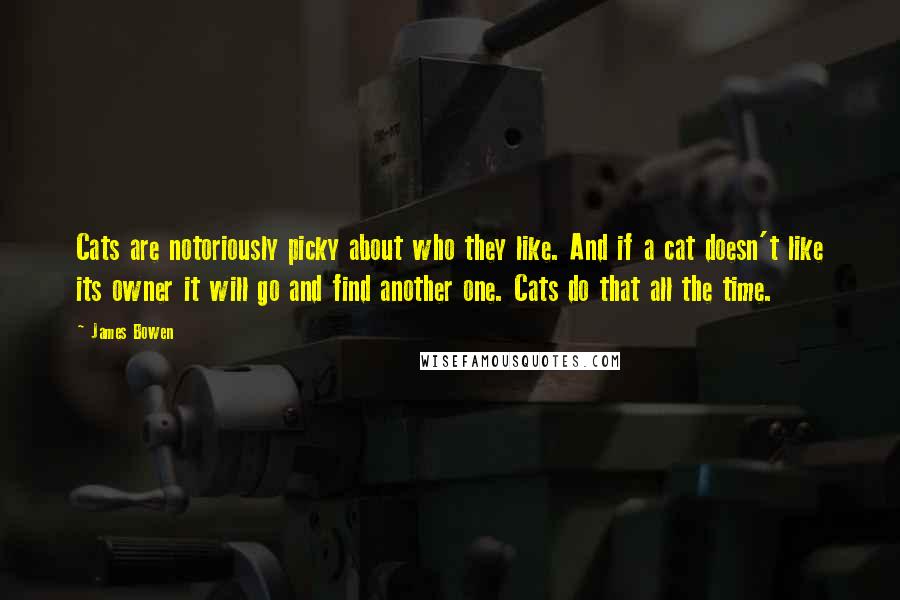 James Bowen Quotes: Cats are notoriously picky about who they like. And if a cat doesn't like its owner it will go and find another one. Cats do that all the time.