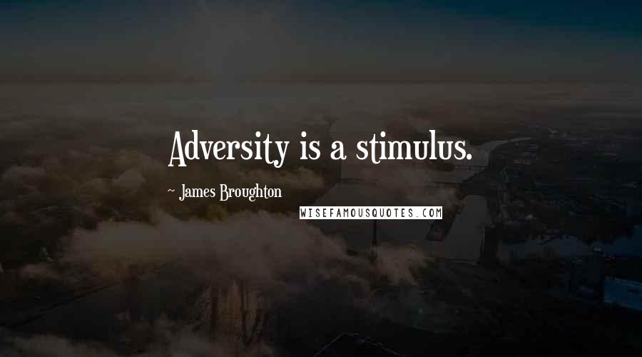 James Broughton Quotes: Adversity is a stimulus.