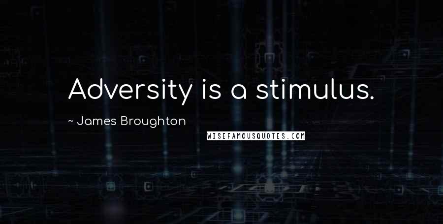 James Broughton Quotes: Adversity is a stimulus.