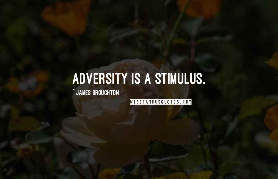 James Broughton Quotes: Adversity is a stimulus.