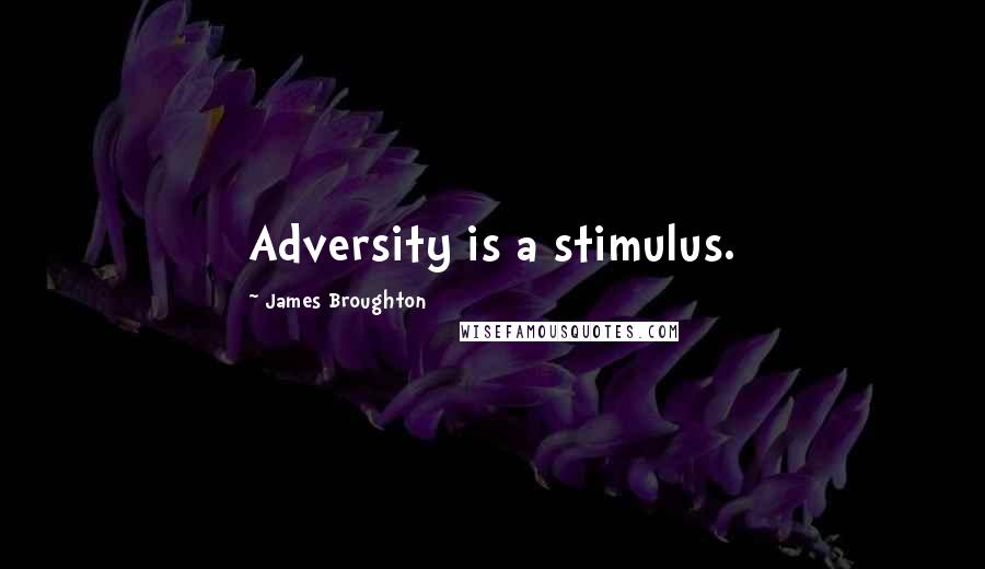 James Broughton Quotes: Adversity is a stimulus.