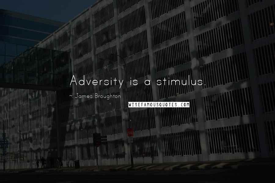 James Broughton Quotes: Adversity is a stimulus.