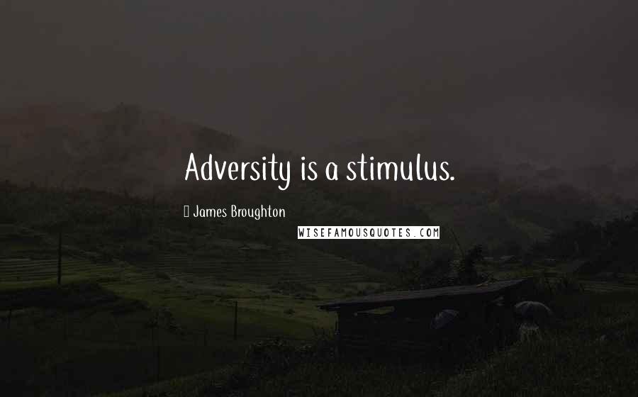 James Broughton Quotes: Adversity is a stimulus.