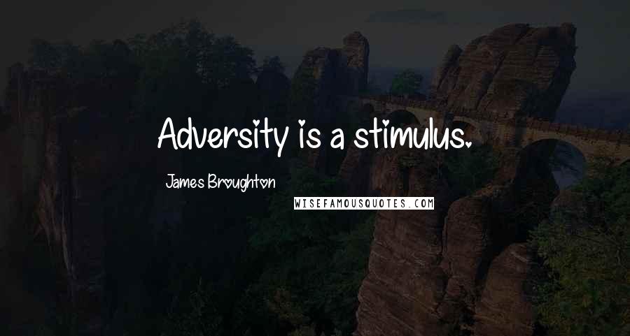 James Broughton Quotes: Adversity is a stimulus.